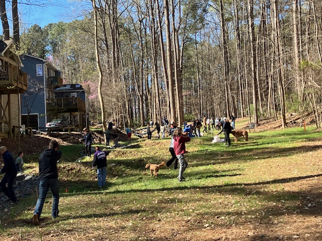 Volunteers Restore Eroded Hillside Above Bolin Creek