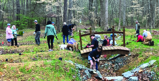 Help Us Remove Invasive Species at Carolina North