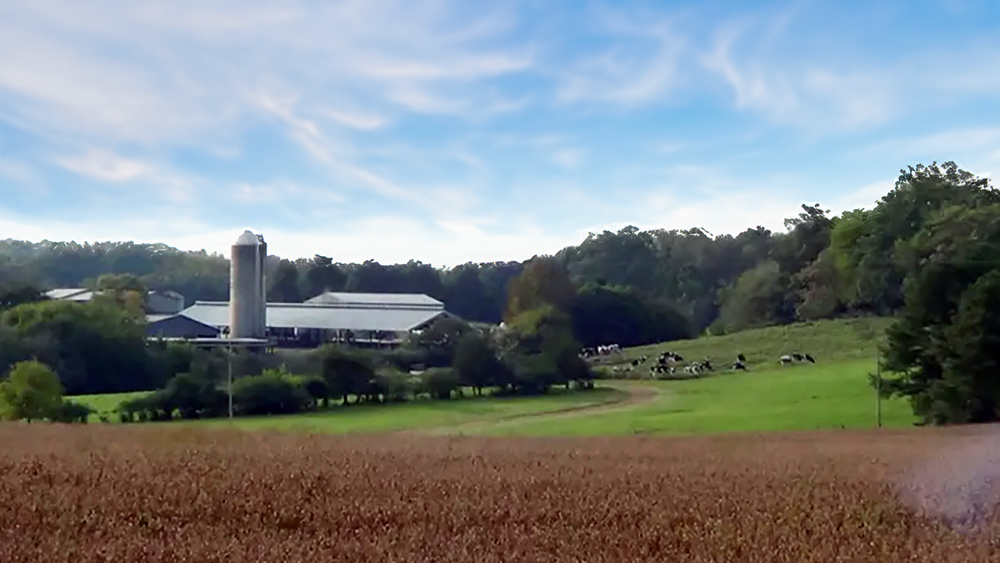 Defend the Maple View Farm Legacy