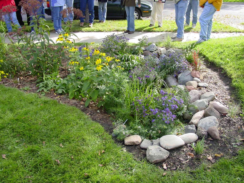 rain-garden